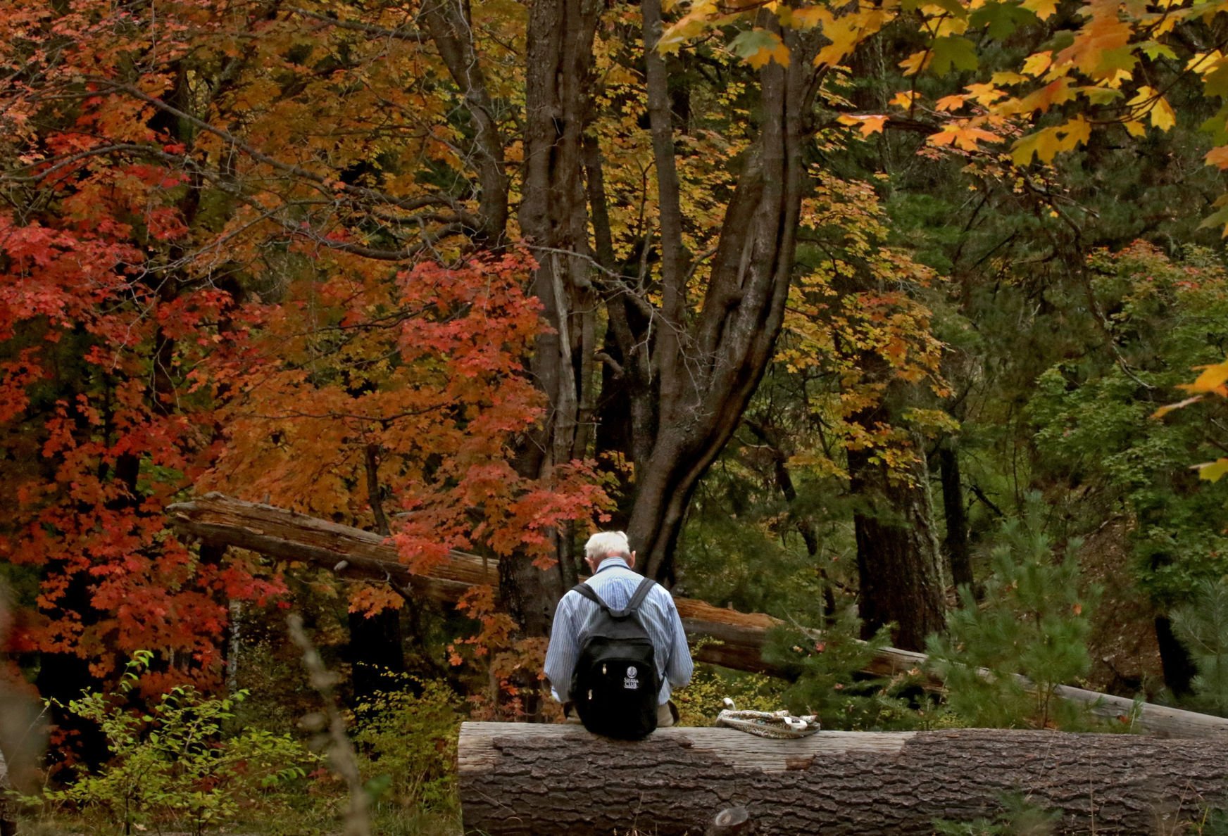 Fall colors